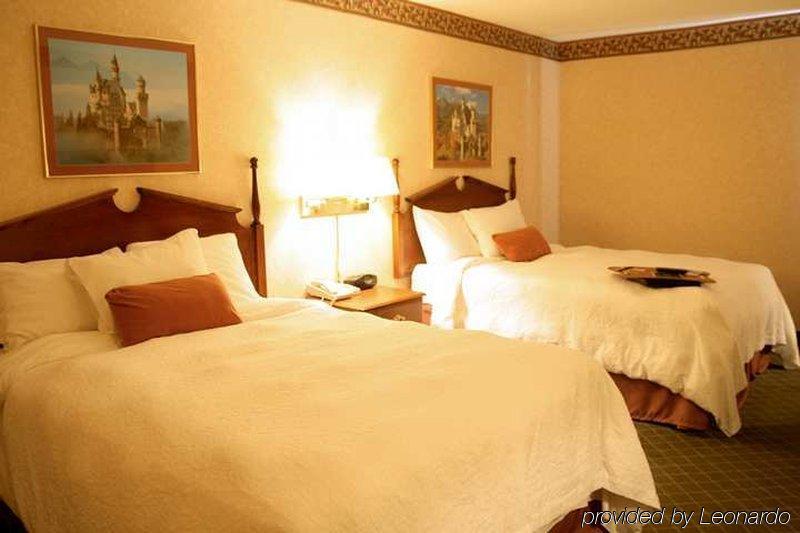 Hampton Inn Birch Run Quarto foto